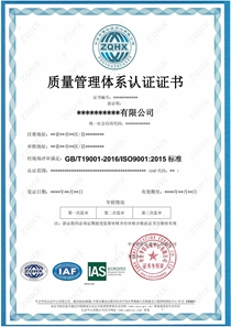 质量管理体系（IAS）