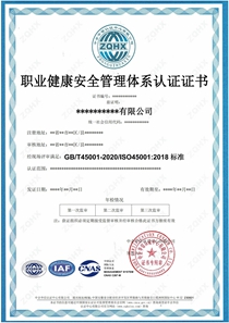 职业健康安全管理体系（CNAS）