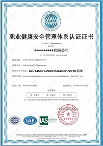 职业健康安全管理体系（IAS）
